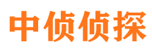 平罗市调查公司